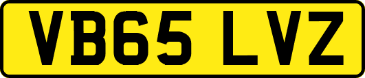 VB65LVZ