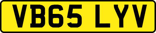 VB65LYV