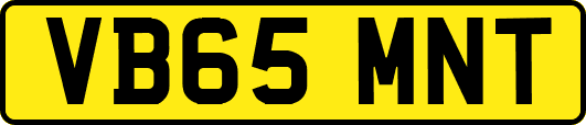 VB65MNT