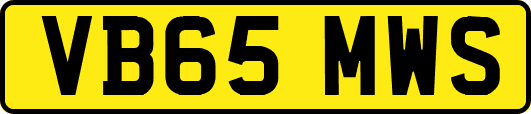 VB65MWS