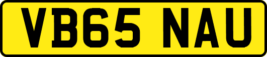 VB65NAU