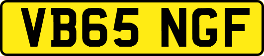 VB65NGF