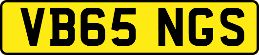 VB65NGS