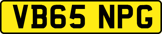 VB65NPG