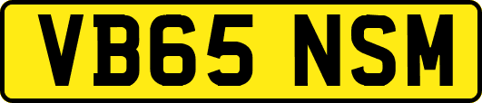 VB65NSM