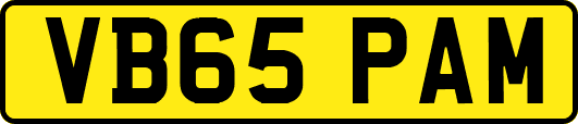 VB65PAM