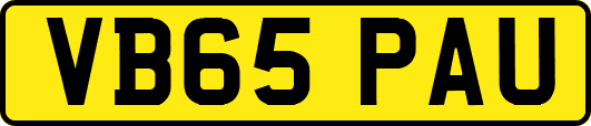 VB65PAU