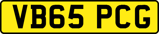VB65PCG