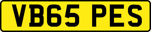 VB65PES