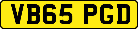 VB65PGD