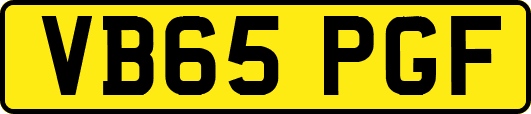 VB65PGF