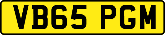 VB65PGM