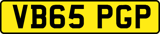 VB65PGP