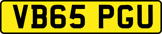 VB65PGU