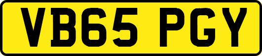 VB65PGY