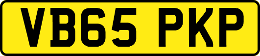 VB65PKP