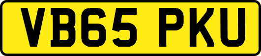 VB65PKU