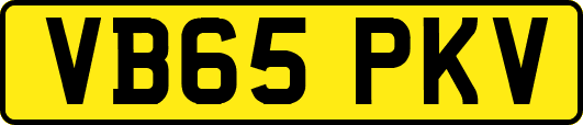VB65PKV