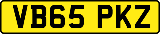 VB65PKZ