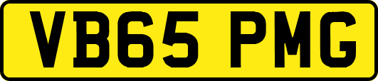 VB65PMG