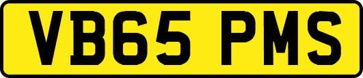 VB65PMS