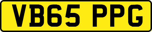 VB65PPG