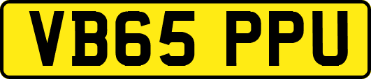 VB65PPU