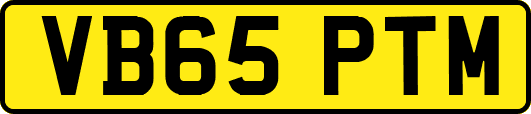 VB65PTM