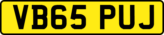 VB65PUJ