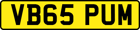 VB65PUM
