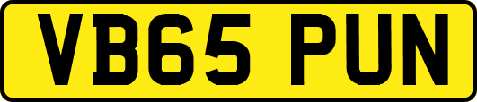 VB65PUN