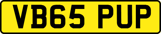 VB65PUP