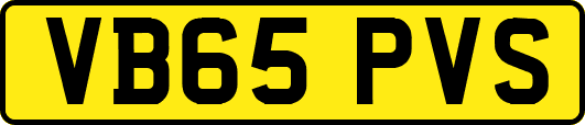 VB65PVS