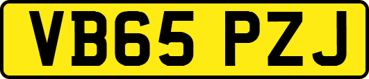 VB65PZJ