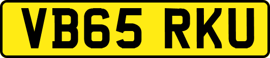 VB65RKU