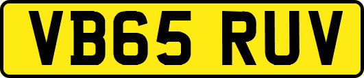VB65RUV