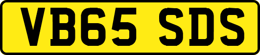 VB65SDS