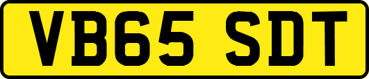 VB65SDT