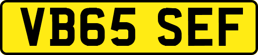 VB65SEF