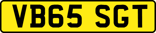 VB65SGT