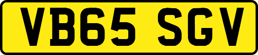 VB65SGV