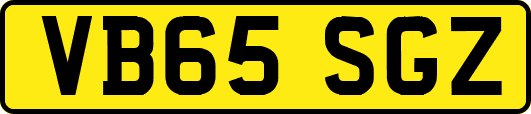 VB65SGZ