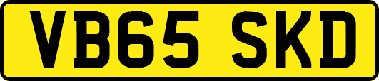 VB65SKD