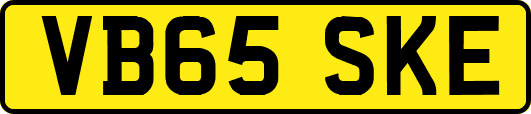 VB65SKE