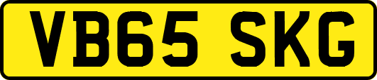 VB65SKG