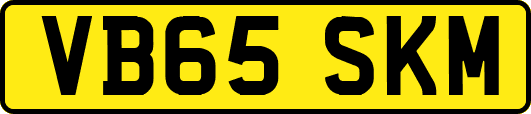 VB65SKM