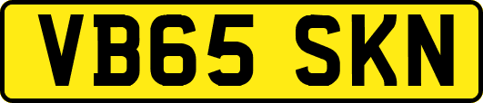 VB65SKN