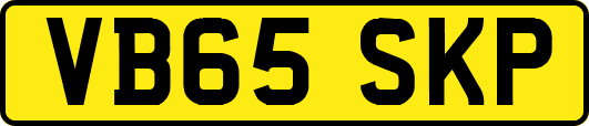 VB65SKP