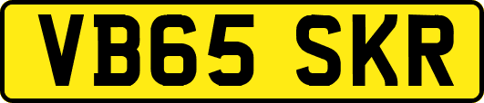 VB65SKR