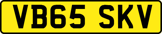 VB65SKV